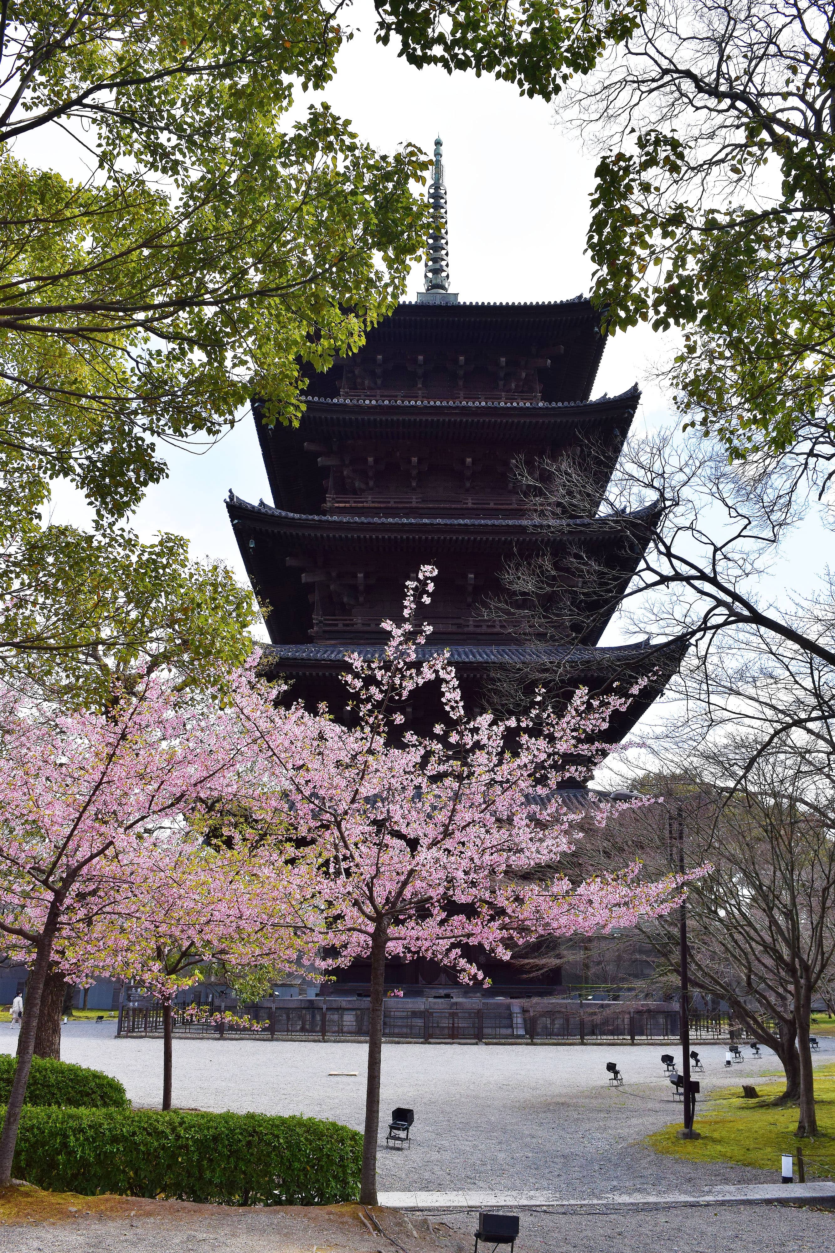 Tranquil Temple Gardens
