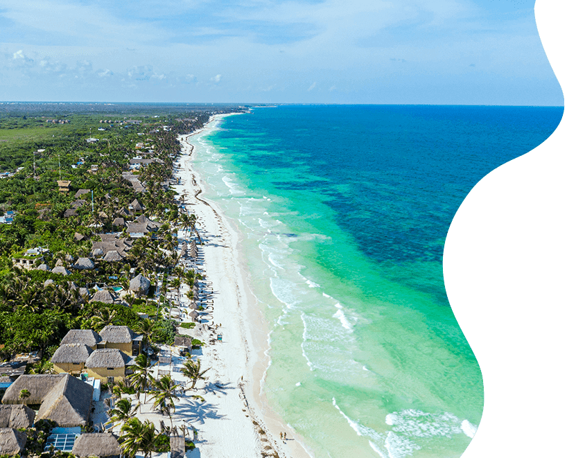 Highlights