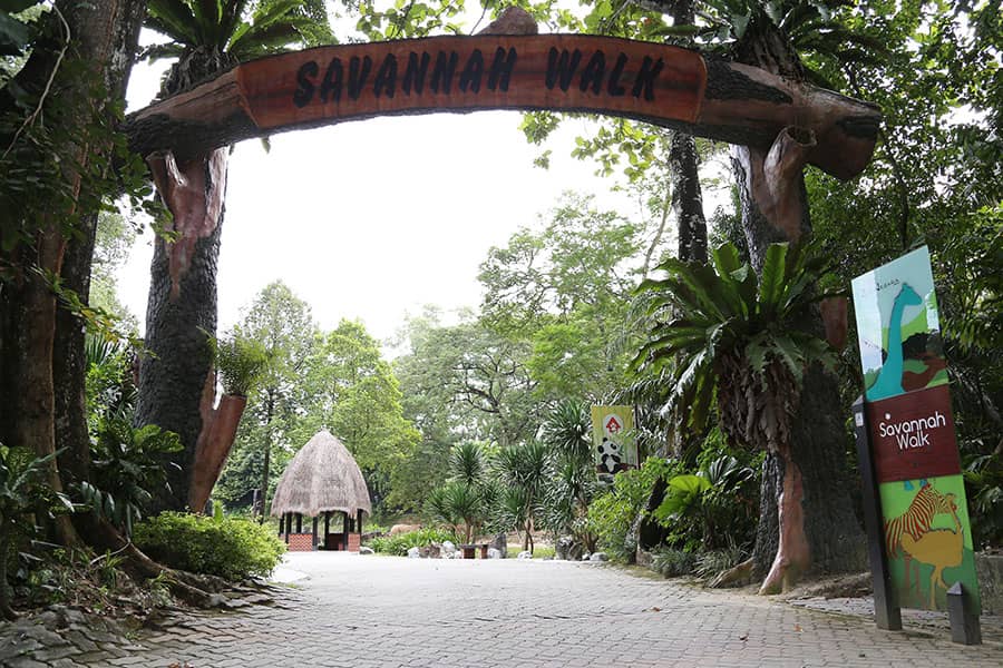 Savannah Walk