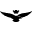 Aquila