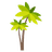 Island Dreams Realty