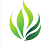 Evolve Grass: Global Artificial Turf Specialists