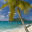 vacationtortola.com