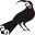 staysouth.com