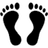 Barefoot Real Estate