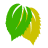 elpidashouse.com