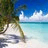 happyislandhopper.com