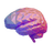 thegigabrain.com