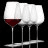 Swan Valley Winery Tours