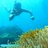 OnBird | Phu Quoc Soft-adventure Journeys