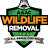 AAAC Wildlife Removal of Greensboro