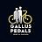 Gallus Pedals Tours