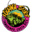 Tamarindo Surf Shop | Iguana Surf