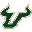 University of South Florida