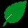 The Mint Story