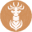 Above Average Coffee