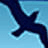 sonomacoast.com