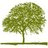 Kiawah Island Vacation Rentals