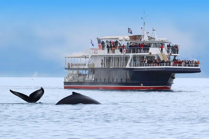 Whale-watching Cruises Tadoussac Pier