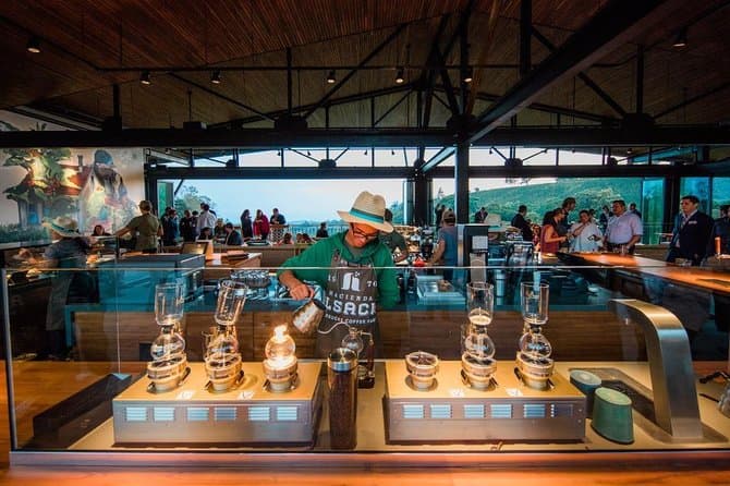 Hacienda Alsacia Starbucks Coffee Farm