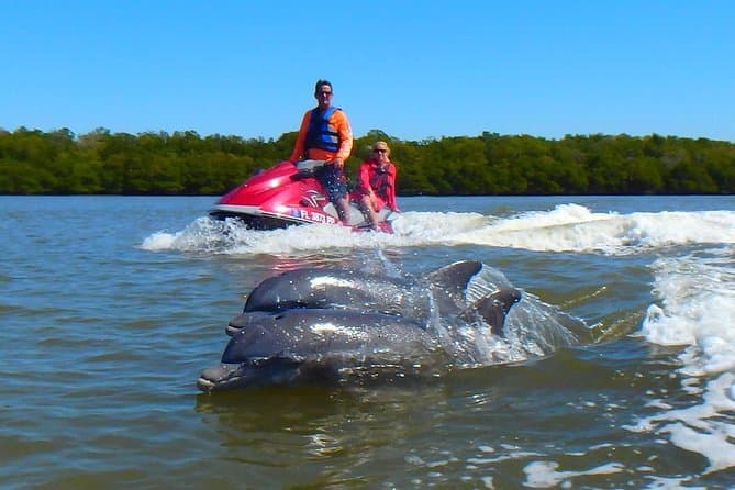Avi's Dolphin Jet Ski Tour