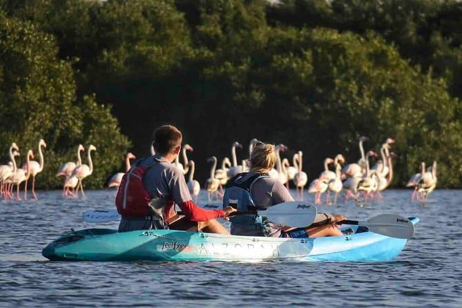 Al Zorah Nature Reserve Mangroves