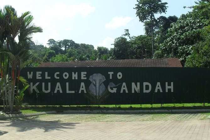Kuala Gandah Elephant Sanctuary