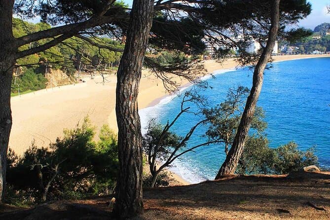 Cami de Ronda Lloret-Fenals