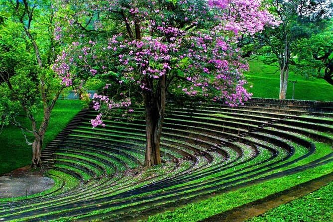 University of Peradeniya