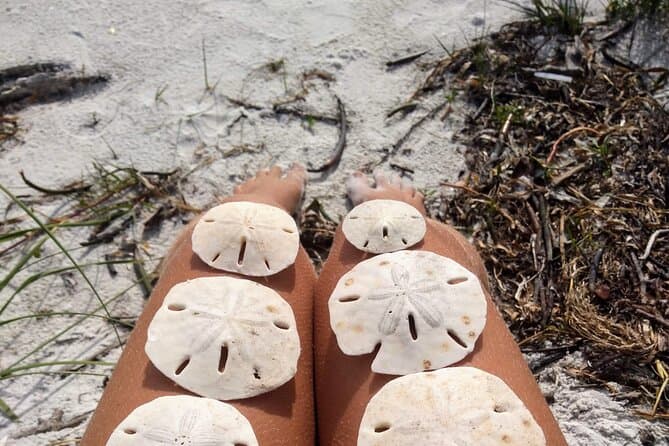 Shell Key Preserve St. Pete Beach