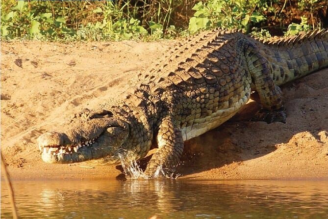 Cumbarjua Canal Crocodile Safari