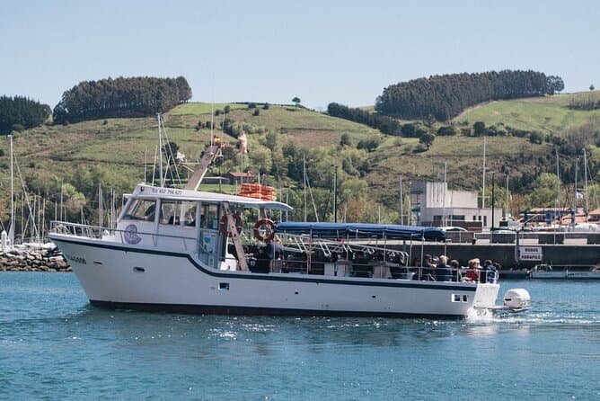 Guided boat tour of the Flysch