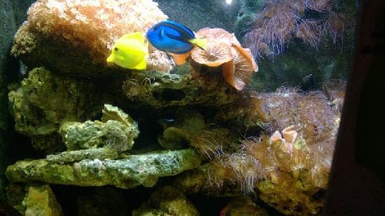 海底世界真漂亮