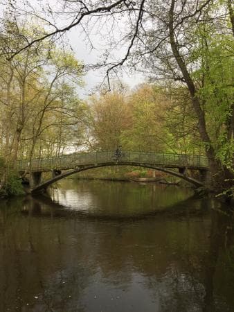 Fruens Bøge