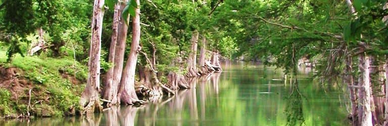 James Kiehl River Bend Park