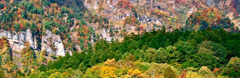 紅葉の始まり
