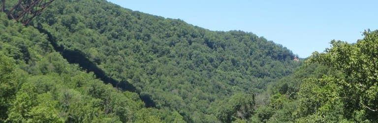 What a site to see....and  lots of kayaker's  below