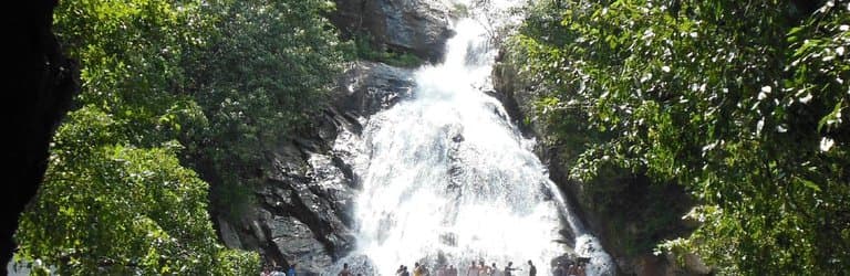 Monkey falls