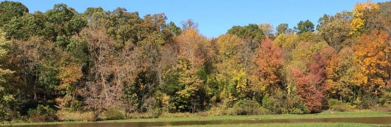 Autumn colours at Lake Fairfax