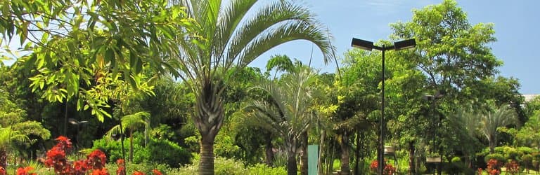 Visão da pista de caminhada.