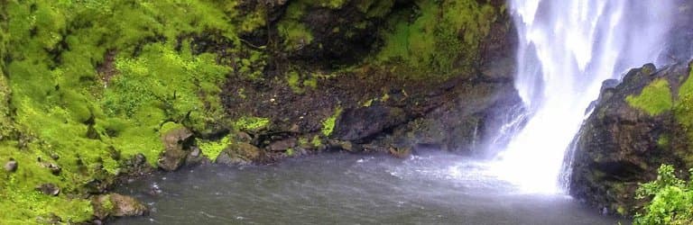 Parte de abajo, Los turistas se bañan, hay una área de descanso con mesas.
