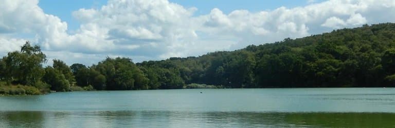 Activity Lake - Decoy