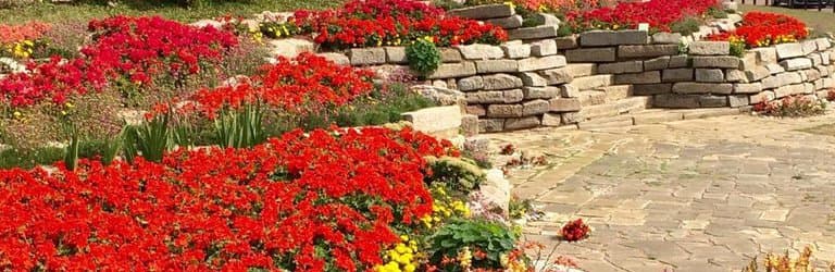 Sandown Castle Community Garden has been recreated in the tiered gardens which used to be plante