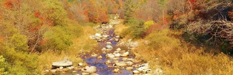 Odaesan Mountain Fall Foliage