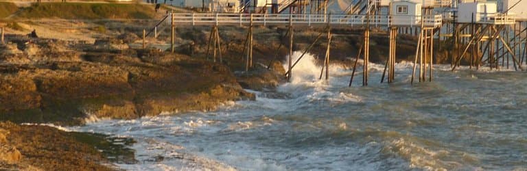 Early evening sunlight