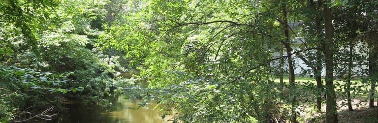 West along the creek from the first bridge