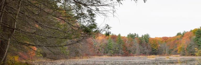 Callahan State Park Massachusetts