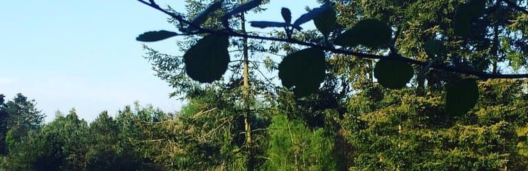 Sherwood Pines Forest Park