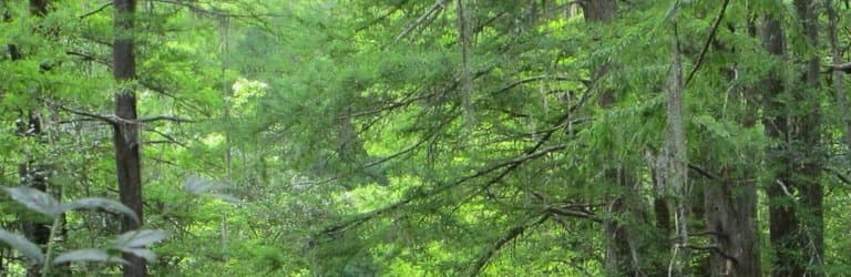 Love the peacefulness!!