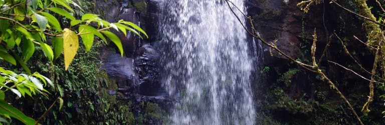Waterfall #2